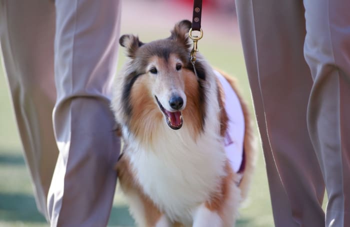 USATSI_8096446_168396119_lowres